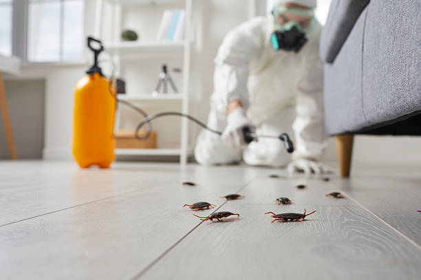 Post-Treatment Bed Bug Interceptor Monitoring in Mifflinburg